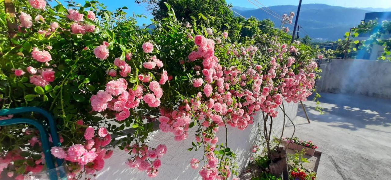 Ban Apartmani Budva Dış mekan fotoğraf
